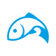 Deep-Blue-Fish-Co_logos-final